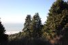 40100 Sea View Ct photo